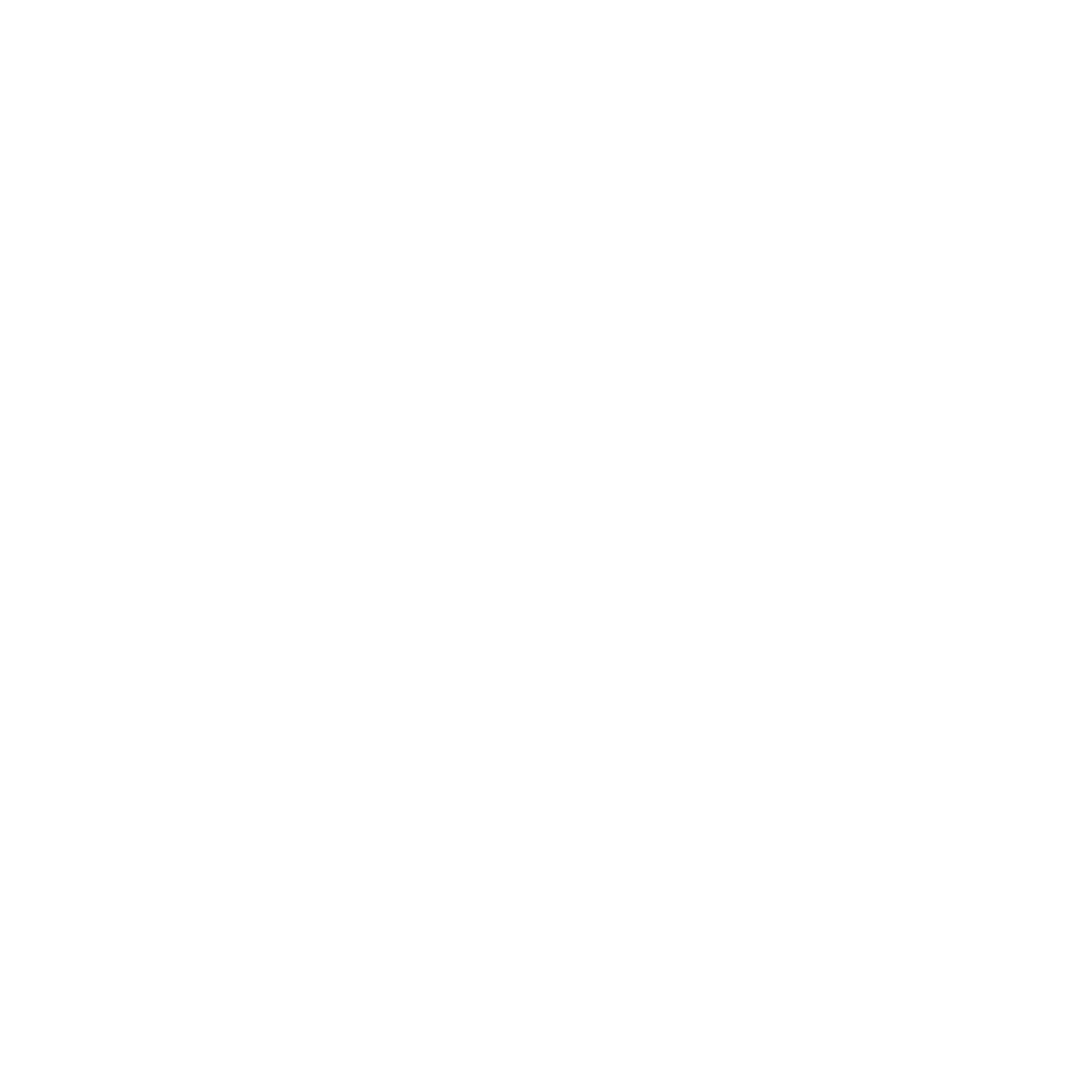 Priority Access Icon